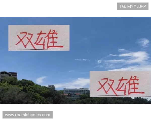 尊龙新版手机版下载最新版本更新内容详解,带来哪些新功能和优化 尊龙新版手机版下载最新版本更新内容详解,带来哪些新功能和优化