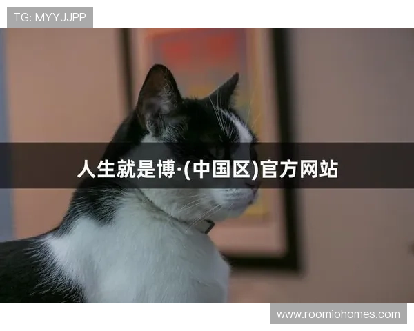 探索尊龙人生就是博官网登录的创新功能及用户体验提升