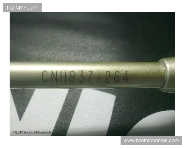 尊龙体育赛程最新安排及详细时间表全面解析助你掌握赛事动态