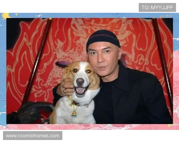 尊龙手机娱乐支持离线游戏功能，让你在没有网络时也能尽情娱乐